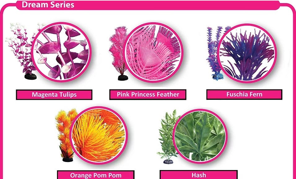 WECO Dream Series, Fuschia Fern