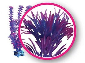 WECO Dream Series, Fuschia Fern