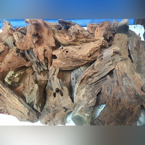 Malaysian Drift Wood